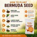 Southern Charm Bermuda Grass Seed