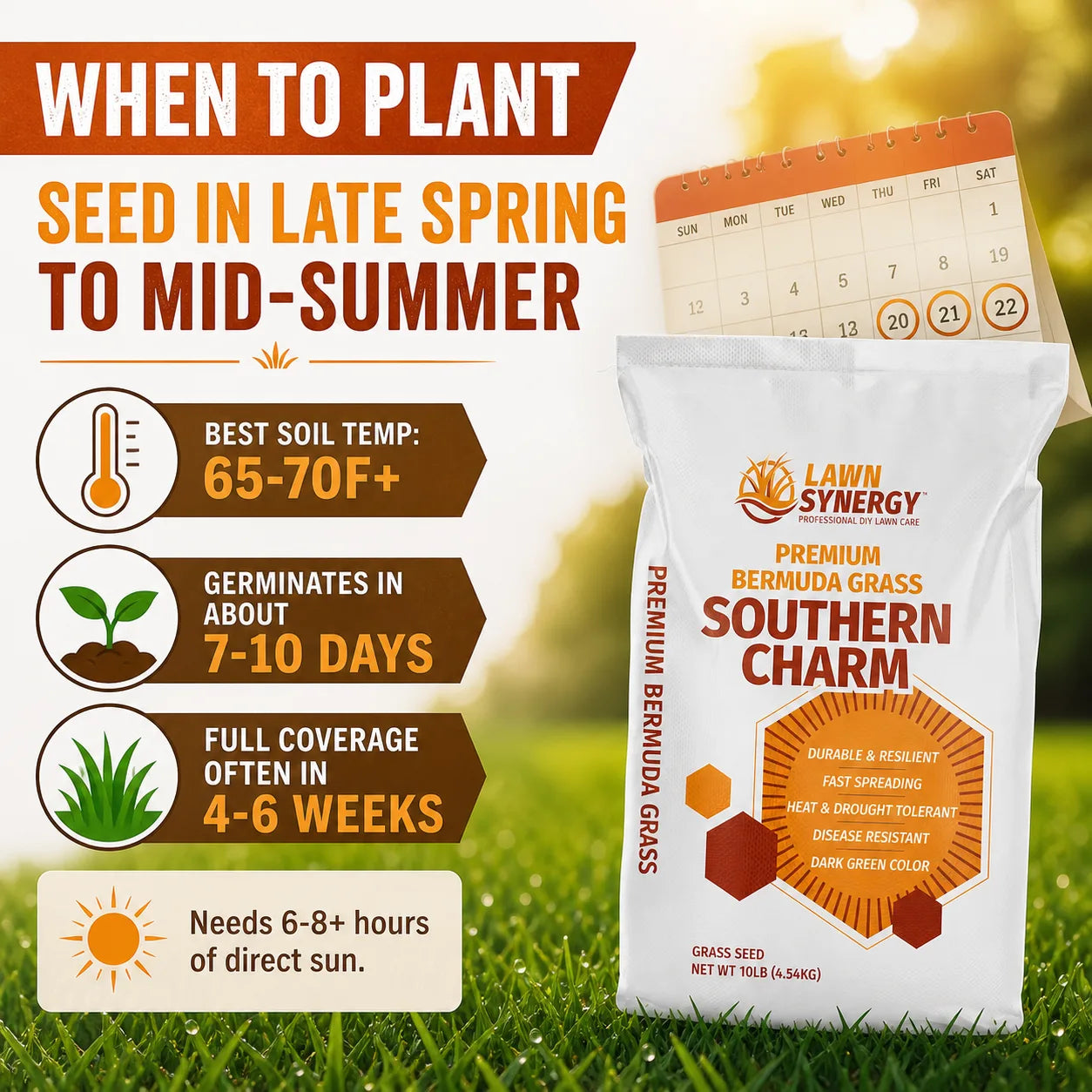 time to plant bermuda grass seed Southern Charm Bermuda Grass Seed