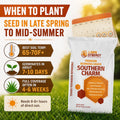 Southern Charm Bermuda Grass Seed