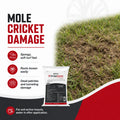 Crosscheck EZ Granular Insecticide - 25 lbs.