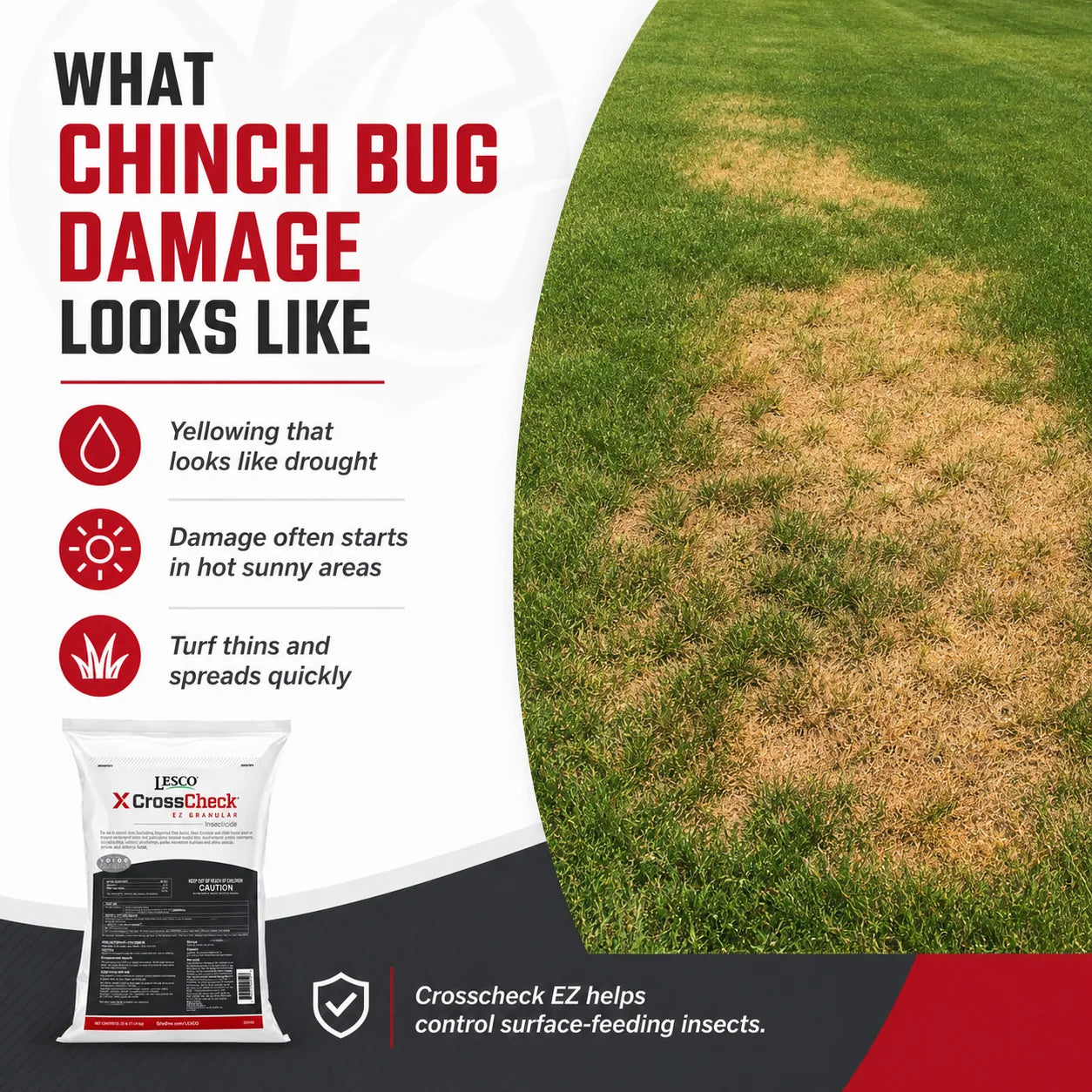 Crosscheck EZ Granular Insecticide - 25 lbs.