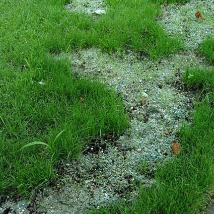 Seed aide grass seed starter mulch.  