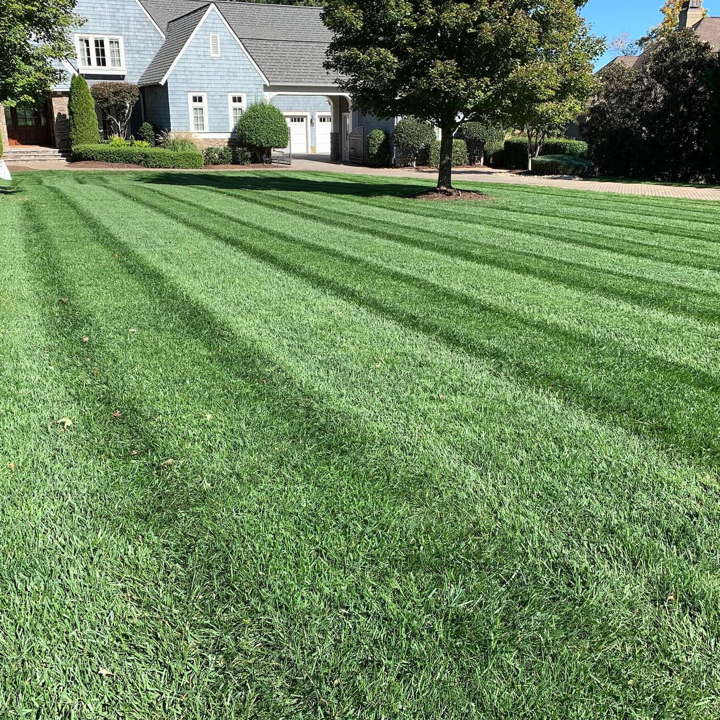 A freshly mowed green lawn with neat striped patterns, with a house, trees, and driveway visible in the background.
