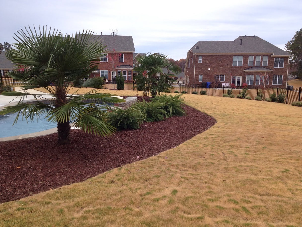 Prevent weeds without pushing growth