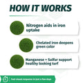 IronEdge 12-0-0 Chelated Liquid Iron Plus