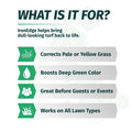 Promotional text highlighting the benefits of IronEdge for lawn care on a white background.