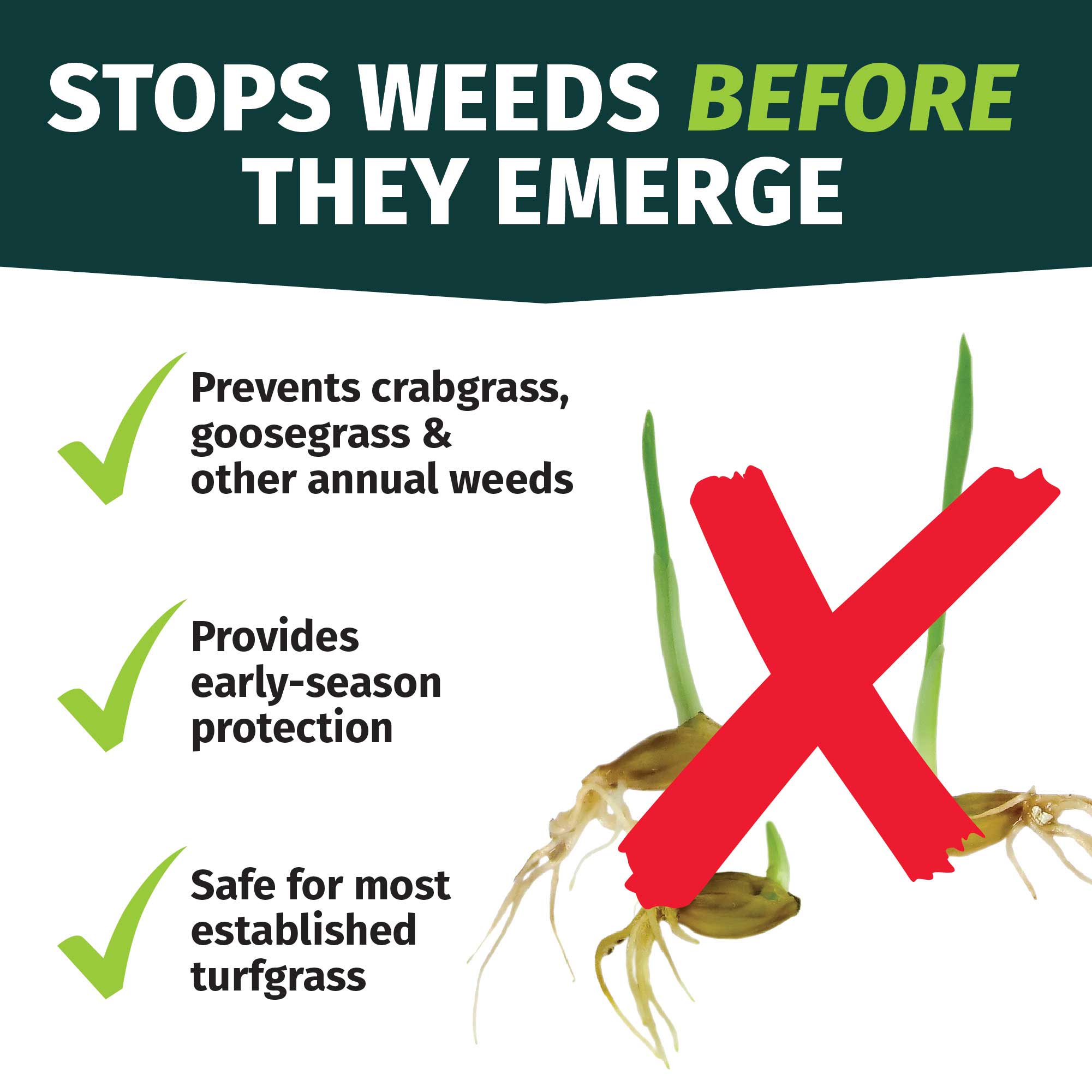 LESCO 19-0-6 Dimension Pre-Emergent Fertilizer | Weed Control