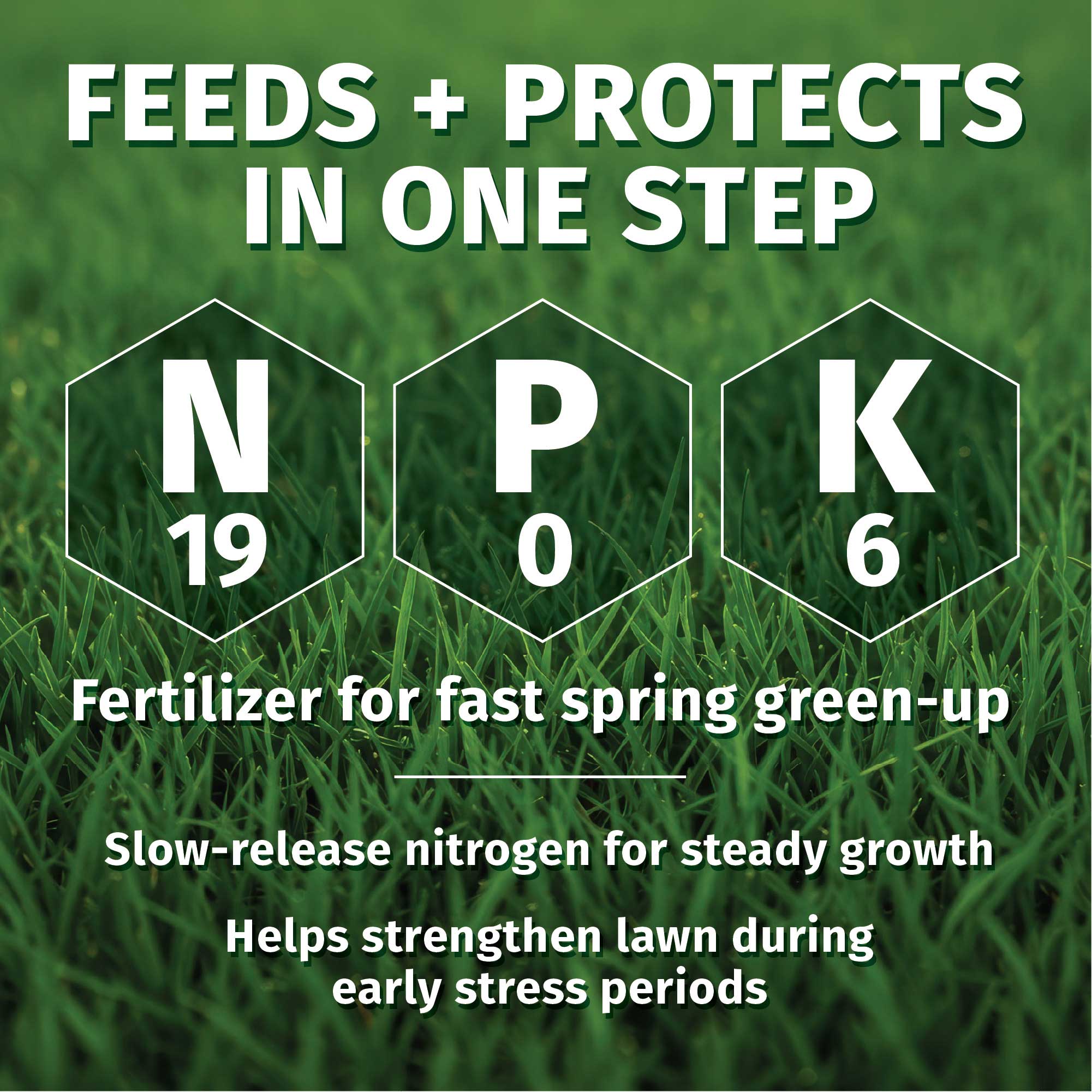 LESCO 19-0-6 Dimension Pre-Emergent Fertilizer - Crabgrass Weed