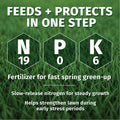 LESCO 19-0-6 Dimension Pre-Emergent Fertilizer