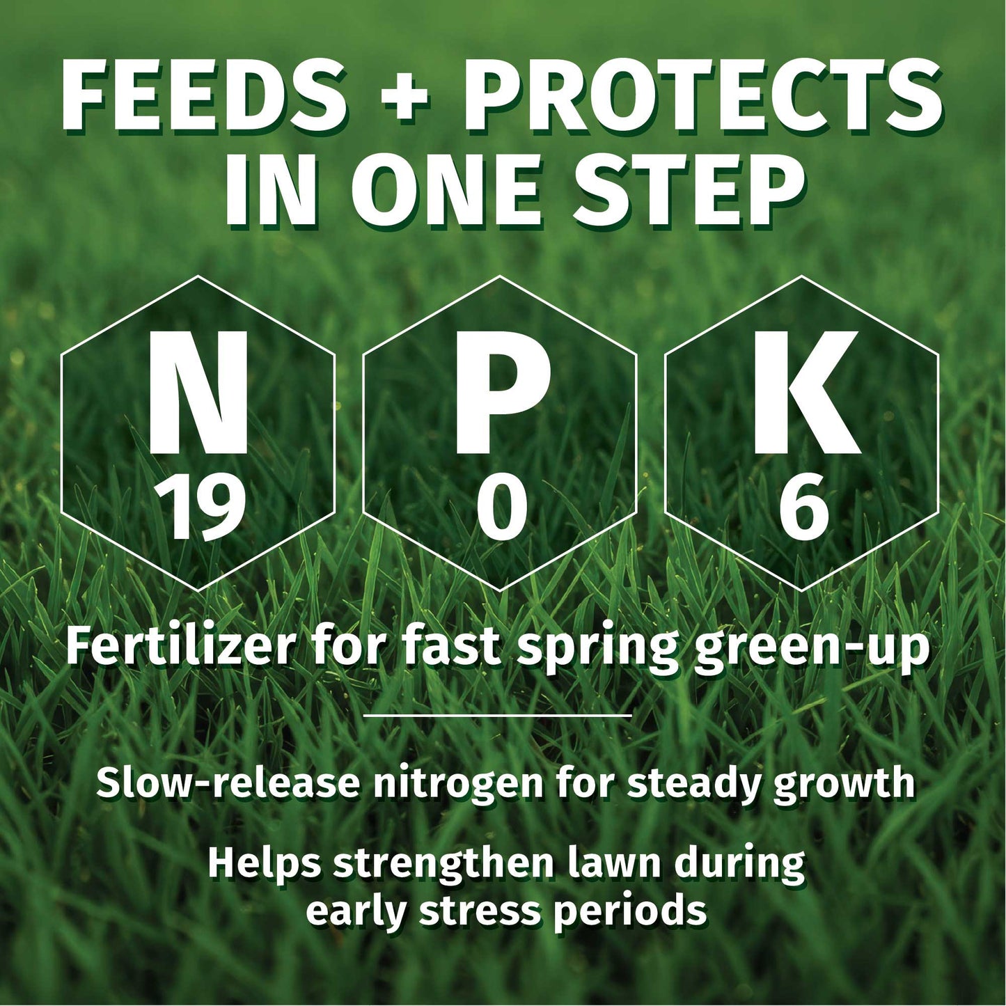 LESCO 19-0-6 Dimension Pre-Emergent Fertilizer