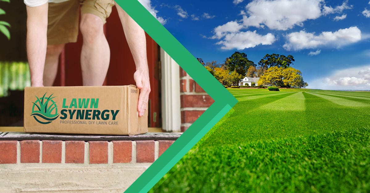 Lawnsynergy Review (2026): DIY Lawn Supplies That Work?