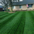 Dark green lawn from 46-0-0 nitrogen fertilizer