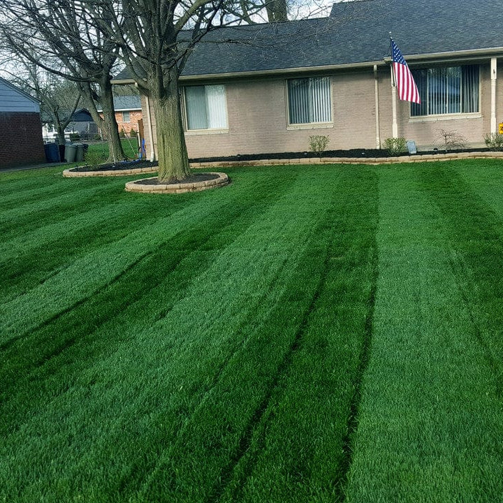 Dark green lawn from 46-0-0 nitrogen fertilizer
