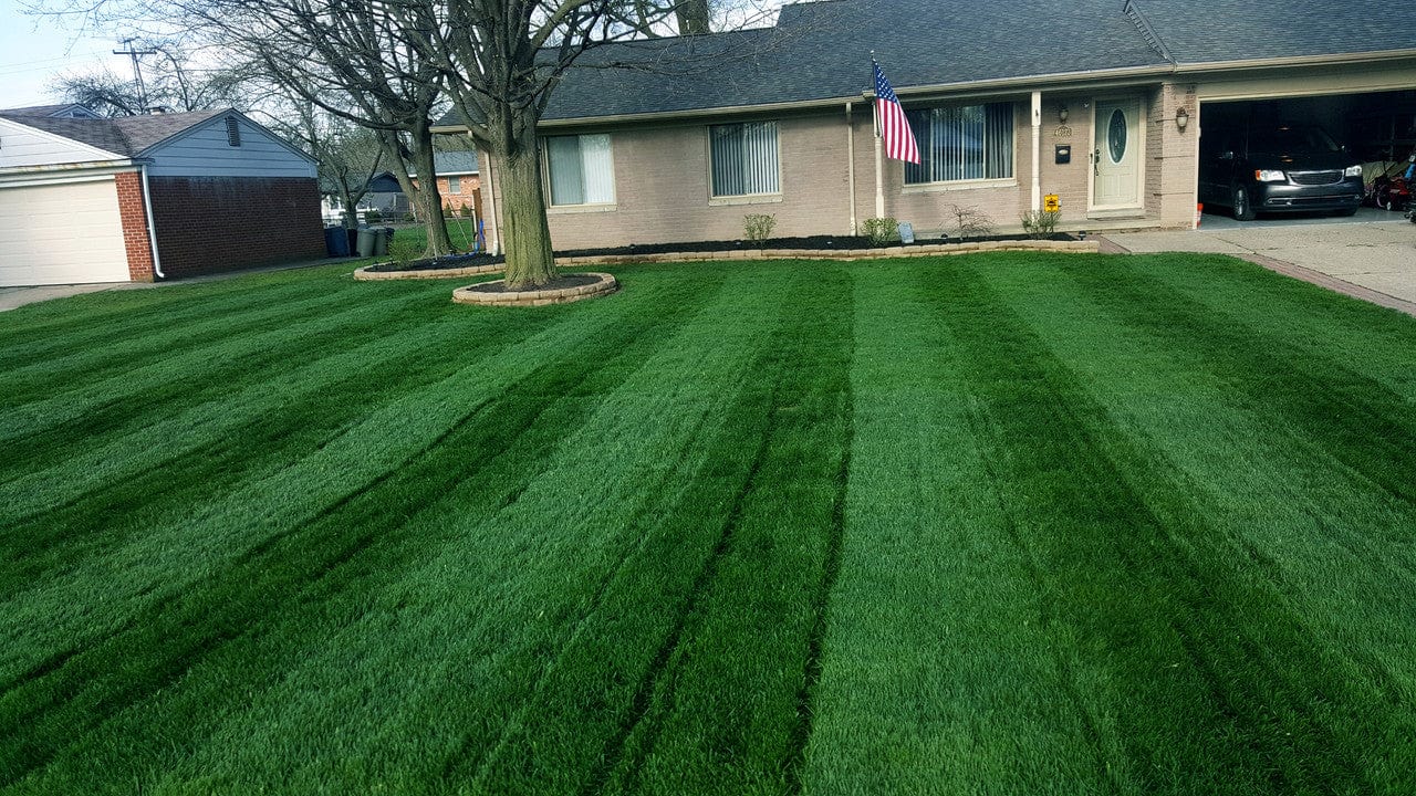 LESCO 46-0-0 Sprayable Urea – High-Nitrogen Turf Fertilizer