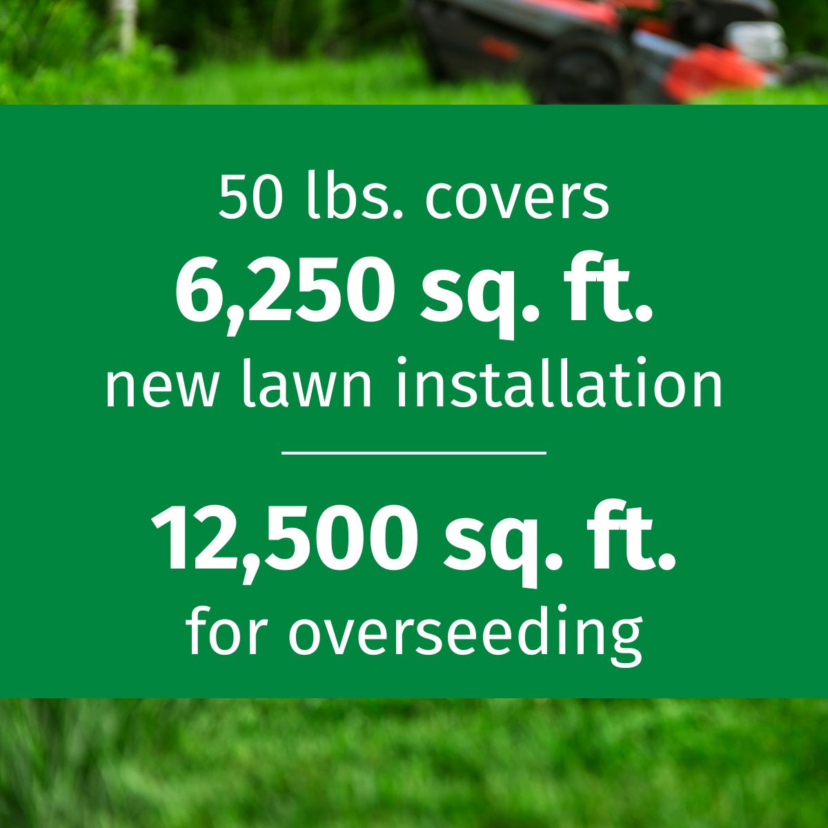 Lesco seed product packaging with text about coverage for new and overseeding lawns.