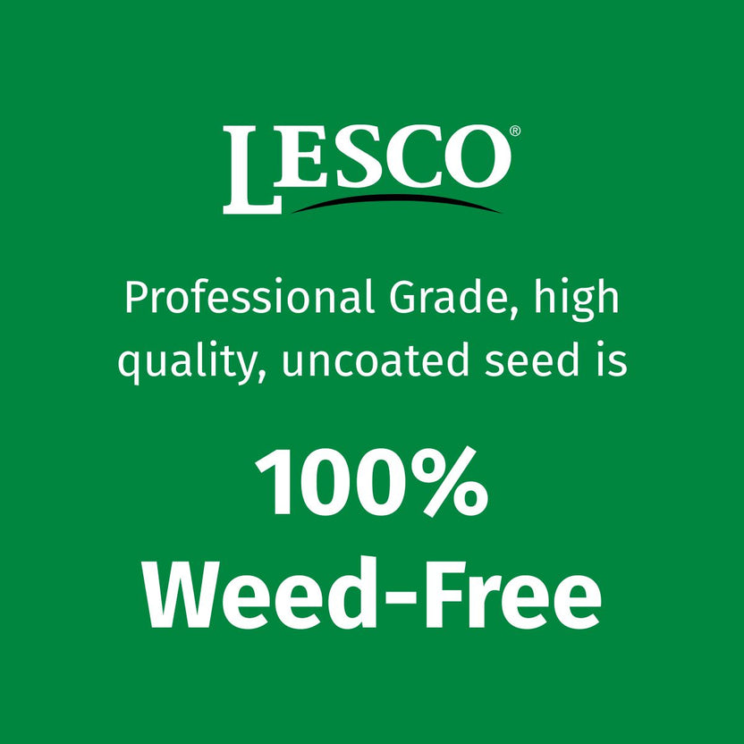 LESCO Tall Fescue Select Blend Grass Seed
