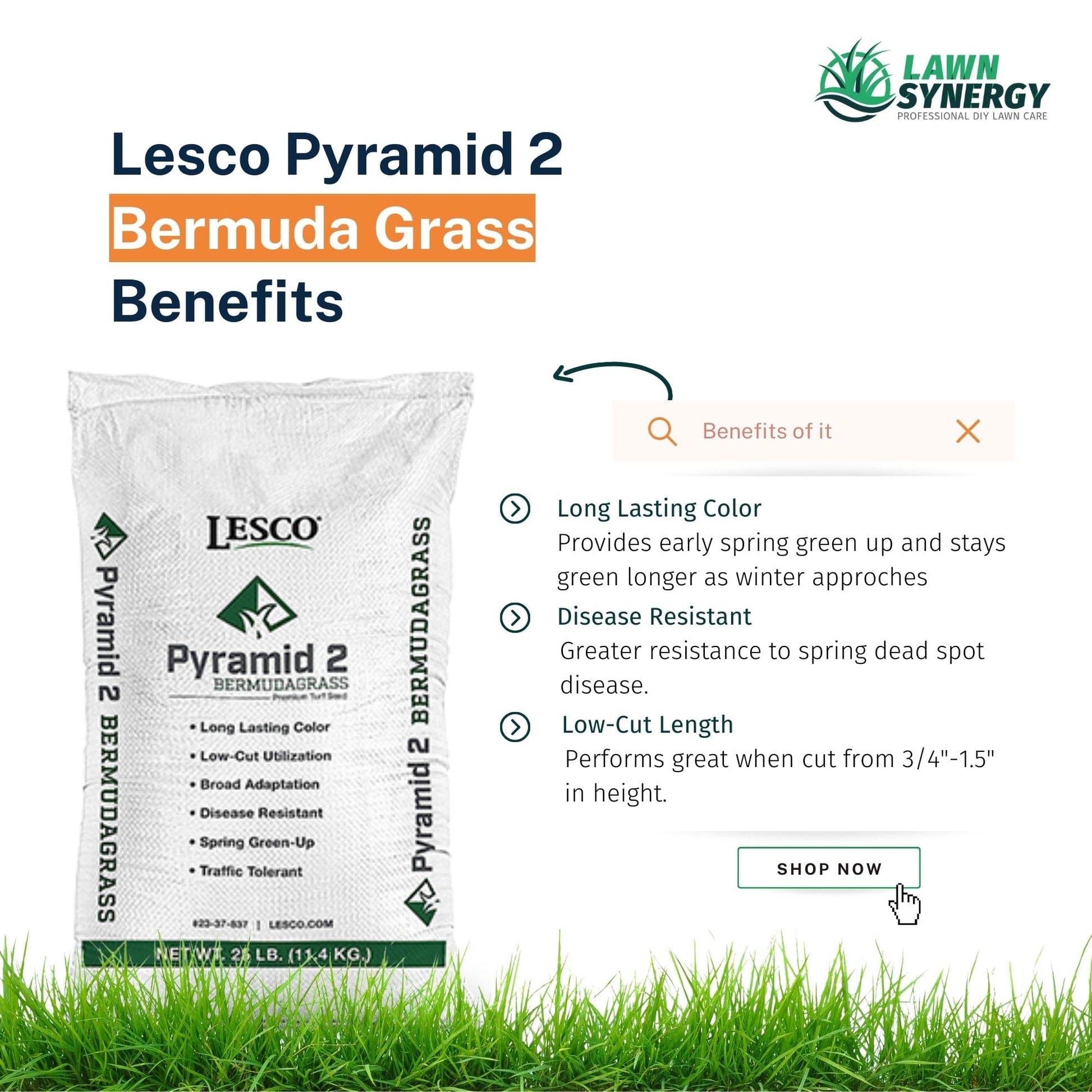 Lesco pyramid 2 bermuda grass seed benefits