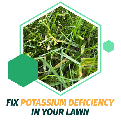 0-0-62 MOP Potassium Fertilizer