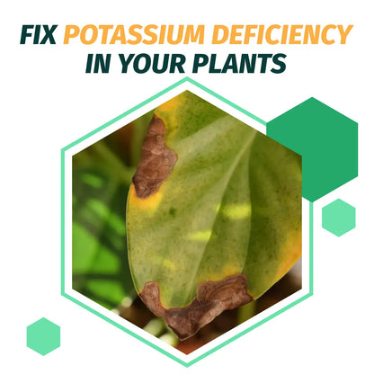 0-0-62 MOP Potassium Fertilizer