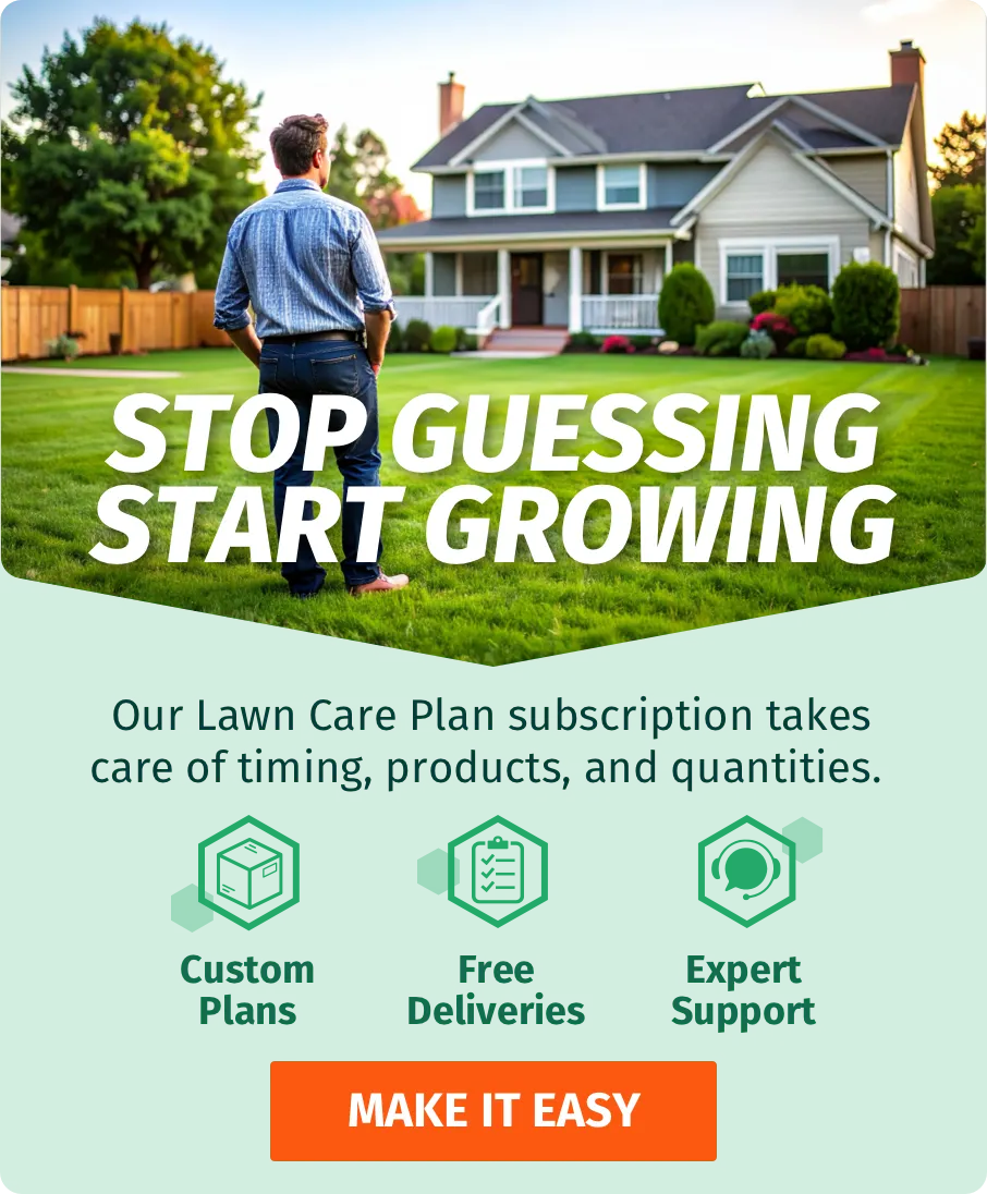 Banner Ad Image