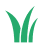 Thicker, Denser Turf