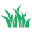 Ultra-Dark Green