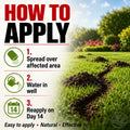 Instructions on how to apply a mole scram professional to grass with a clear sky and garden background.