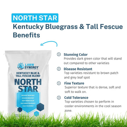 North Star Grass Seed Kentucky Bluegrass and Tall Fescue Benefits