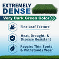 Promotional graphic for dark green grass turf, North Star Grass Seed showing a patch of green grass at the top right and text reading 'EXTREMELY DENSE' and 'Very Dark Green Color.' Below are feature icons and text about fine leaf texture, heat/drought/disease resistance, and repair of thin spots on a white-to-light-blue gradient background.