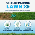 Promotional graphic for North Star Grass Seed , showing bright green grass, bare soil, and three circular icons with the text 'Rapid Spreading,' 'Repair Thin Spots,' and 'Binds Seamlessly.' Large headline text at the top reads 'SELF-REPAIRING LAWN' with smaller text below mentioning Kentucky bluegrass.