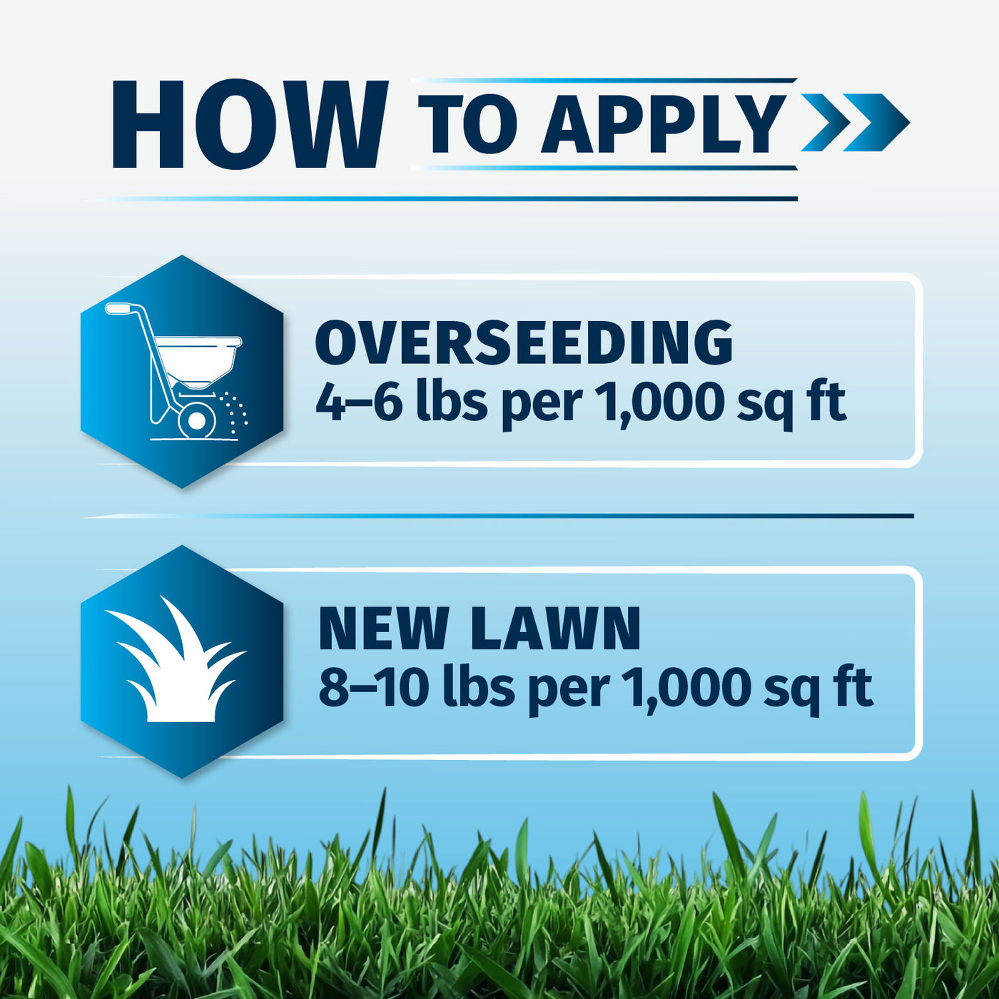Instruction graphic titled 'HOW TO APPLY' with two application rate panels: 'OVERSEEDING 4-6 lbs per 1,000 sq ft' and 'NEW LAWN 8-10 lbs per 1,000 sq ft' on a blue gradient background with grass at the bottom for North Star Grass Seed