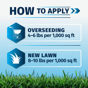 Instruction graphic titled 'HOW TO APPLY' with two application rate panels: 'OVERSEEDING 4-6 lbs per 1,000 sq ft' and 'NEW LAWN 8-10 lbs per 1,000 sq ft' on a blue gradient background with grass at the bottom for North Star Grass Seed