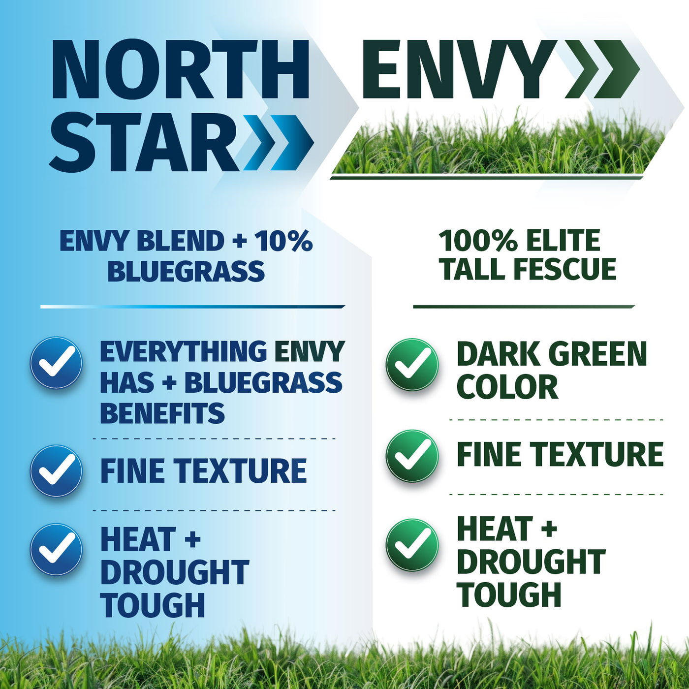 A promotional comparison graphic for North Star grass seed, comparing it to Envy Blend and Envy Tall Fescue. The graphic features a blue-to-white gradient on the left and a white-to-light-gray gradient on the right, with green grass illustrations at the top and bottom.