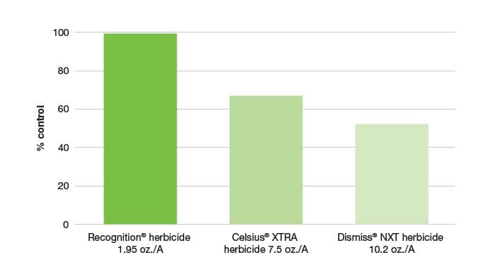 Recognition Herbicide remove bermuda in zoysia and St Augustine lawn