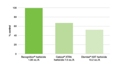 Recognition Herbicide remove bermuda in zoysia and St Augustine lawn