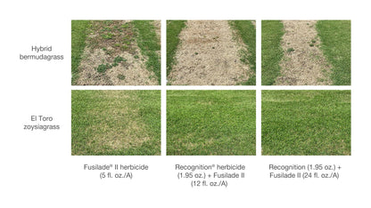 Recognition Herbicide remove bermuda in zoysia and St Augustine lawn