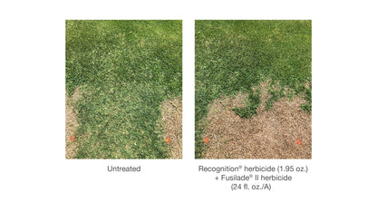 Recognition Herbicide remove bermuda in zoysia and St Augustine lawn