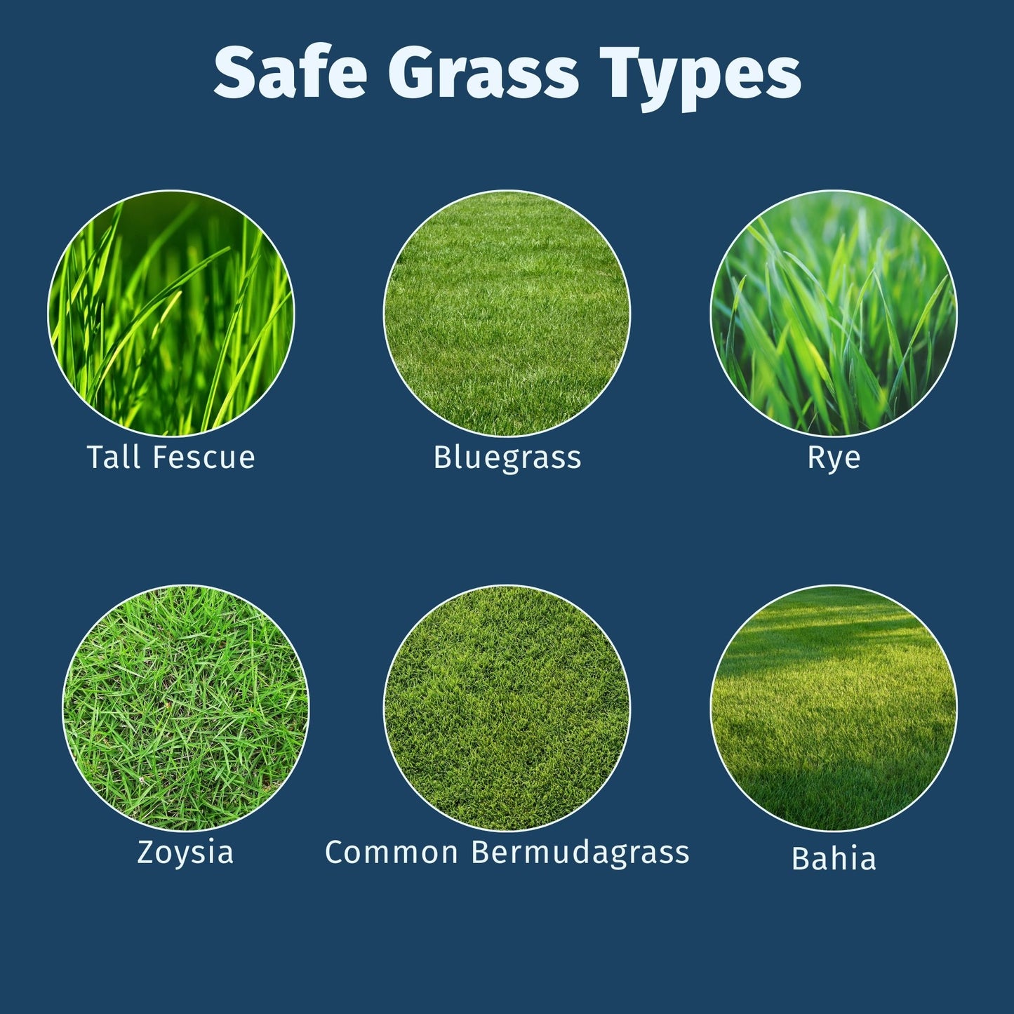 lesco weed and feed safe for these grass types
