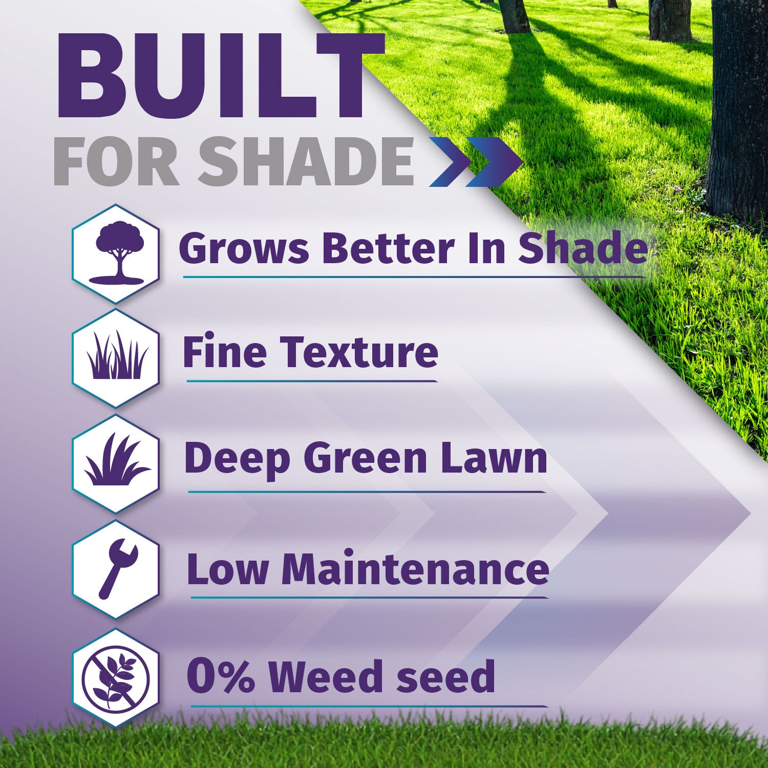 Promotional graphic for a shade lawn seed product with text reading 'BUILT FOR SHADE' and bullet points: 'Grows Better In Shade,' 'Fine Texture,' 'Deep Green Lawn,' 'Low Maintenance,' and '0% Weed seed.' The design shows a green lawn with tree trunks and a purple-to-white arrow graphic.