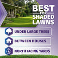 Promotional graphic for shaded lawns featuring a green lawn in front of a house, with large text reading 'BEST FOR SHADED LAWN'S' and three callout panels for 'UNDER LARGE TREES,' 'BETWEEN HOUSES,' and 'NORTH FACING YARDS.'.