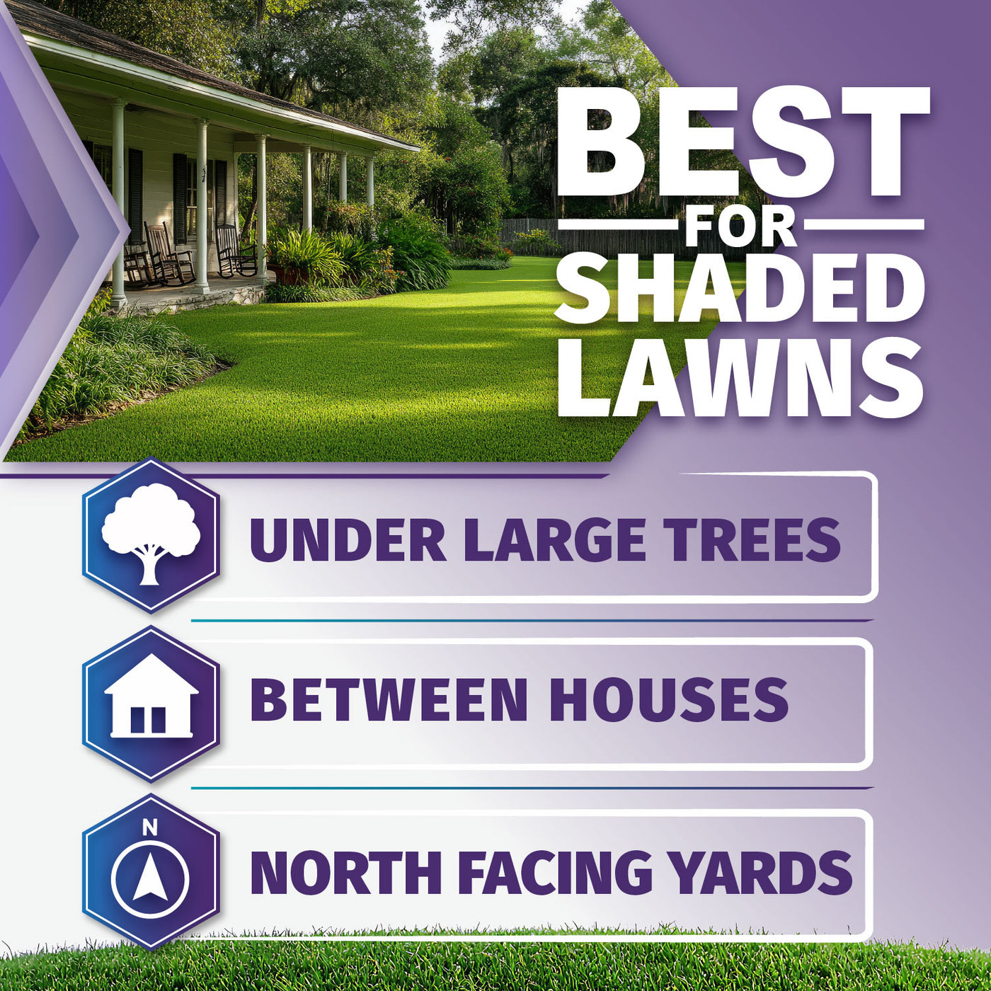 Promotional graphic for shaded lawns featuring a green lawn in front of a house, with large text reading 'BEST FOR SHADED LAWN'S' and three callout panels for 'UNDER LARGE TREES,' 'BETWEEN HOUSES,' and 'NORTH FACING YARDS.'.