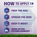 An instructional graphic titled 'HOW TO APPLY' shade grass seed with four steps: Prep the Soil, Spread the Seed, Keep It Moist, and Mow After Establishment. Each step has a blue icon and text on a light purple background with green grass along the bottom.
