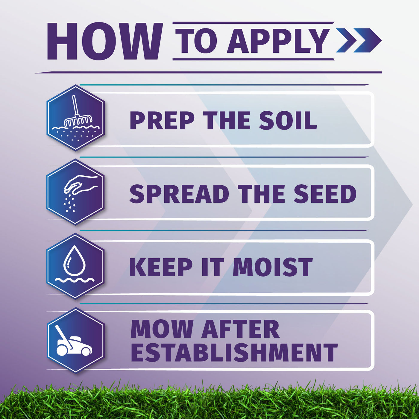 An instructional graphic titled 'HOW TO APPLY' shade grass seed with four steps: Prep the Soil, Spread the Seed, Keep It Moist, and Mow After Establishment. Each step has a blue icon and text on a light purple background with green grass along the bottom.