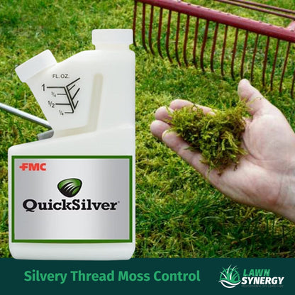 QuickSilver Weed Killer for Moss