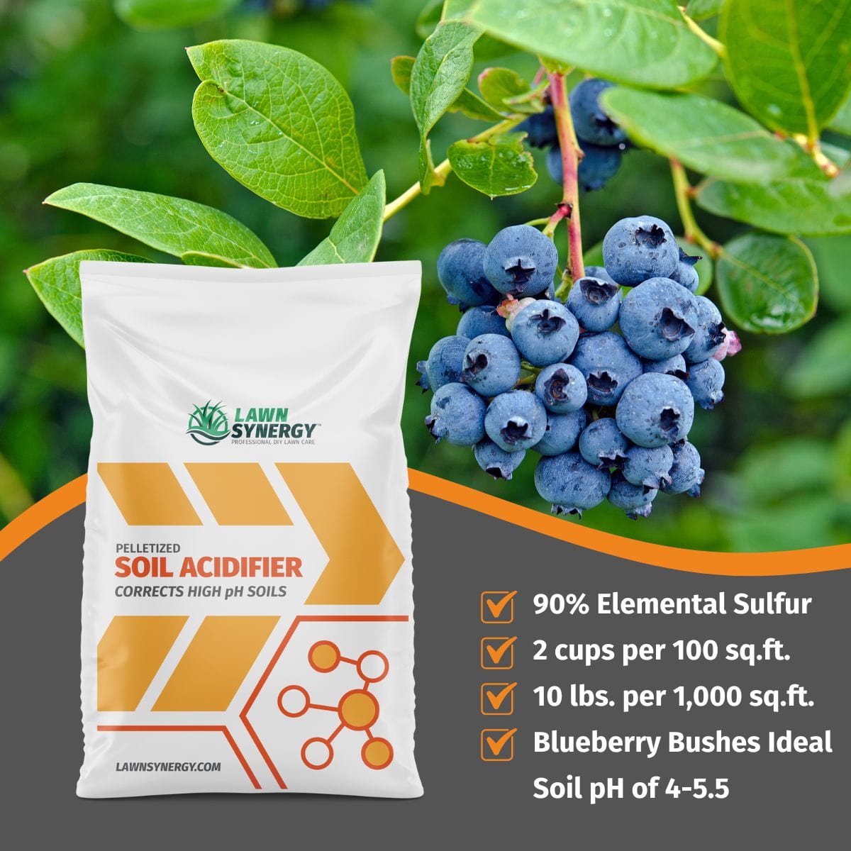 soil acidifier lower ph blueberry bushes