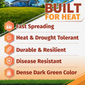 Promotional graphic for bermuda grass seed with a house and lawn photo at the top, large text reading 'BUILT FOR HEAT,' and a list of benefits: Fast Spreading, Heat & Drought Tolerant, Durable & Resilient, Disease Resistant, and Dense Dark Green Color, each with an orange icon.