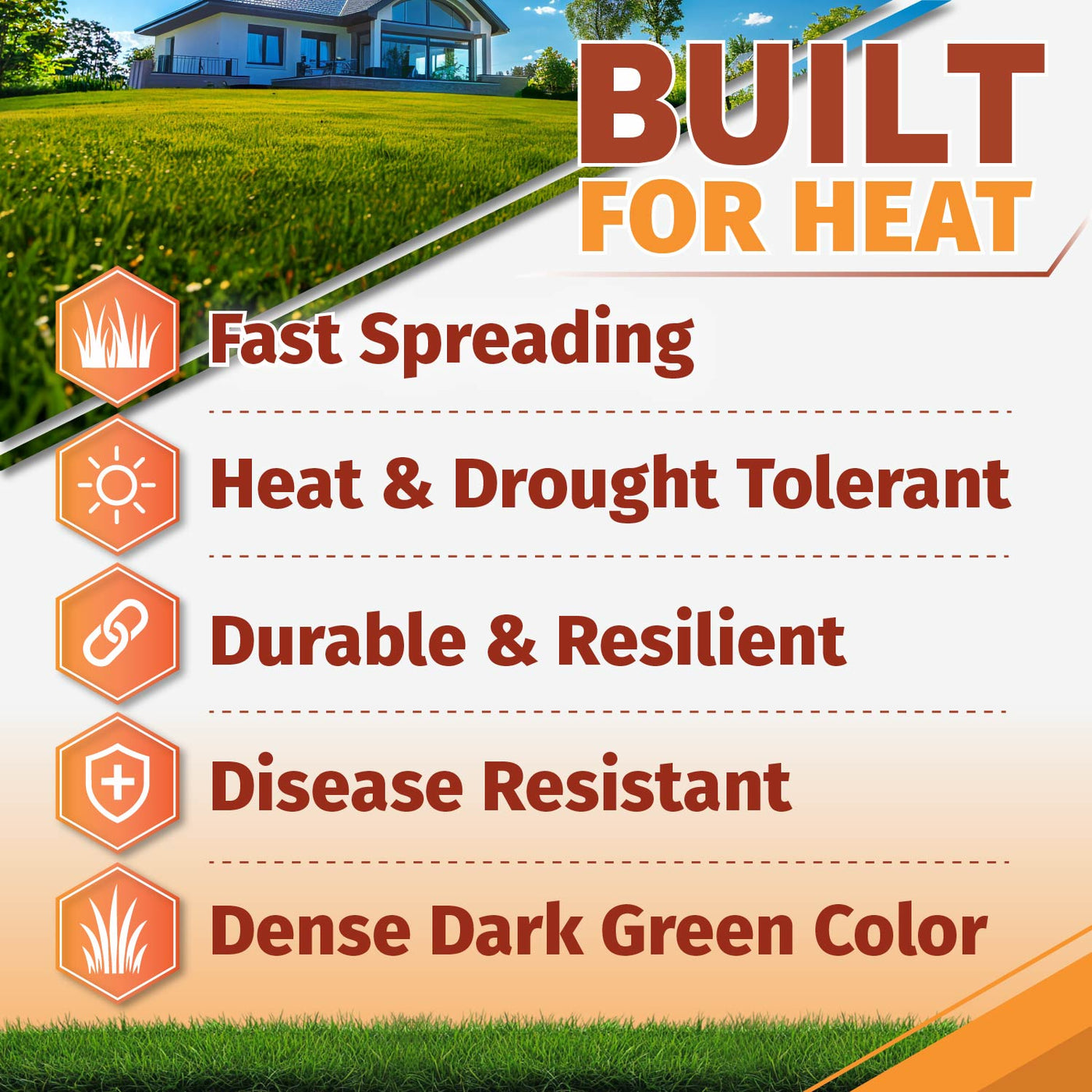Promotional graphic for bermuda grass seed with a house and lawn photo at the top, large text reading 'BUILT FOR HEAT,' and a list of benefits: Fast Spreading, Heat & Drought Tolerant, Durable & Resilient, Disease Resistant, and Dense Dark Green Color, each with an orange icon.