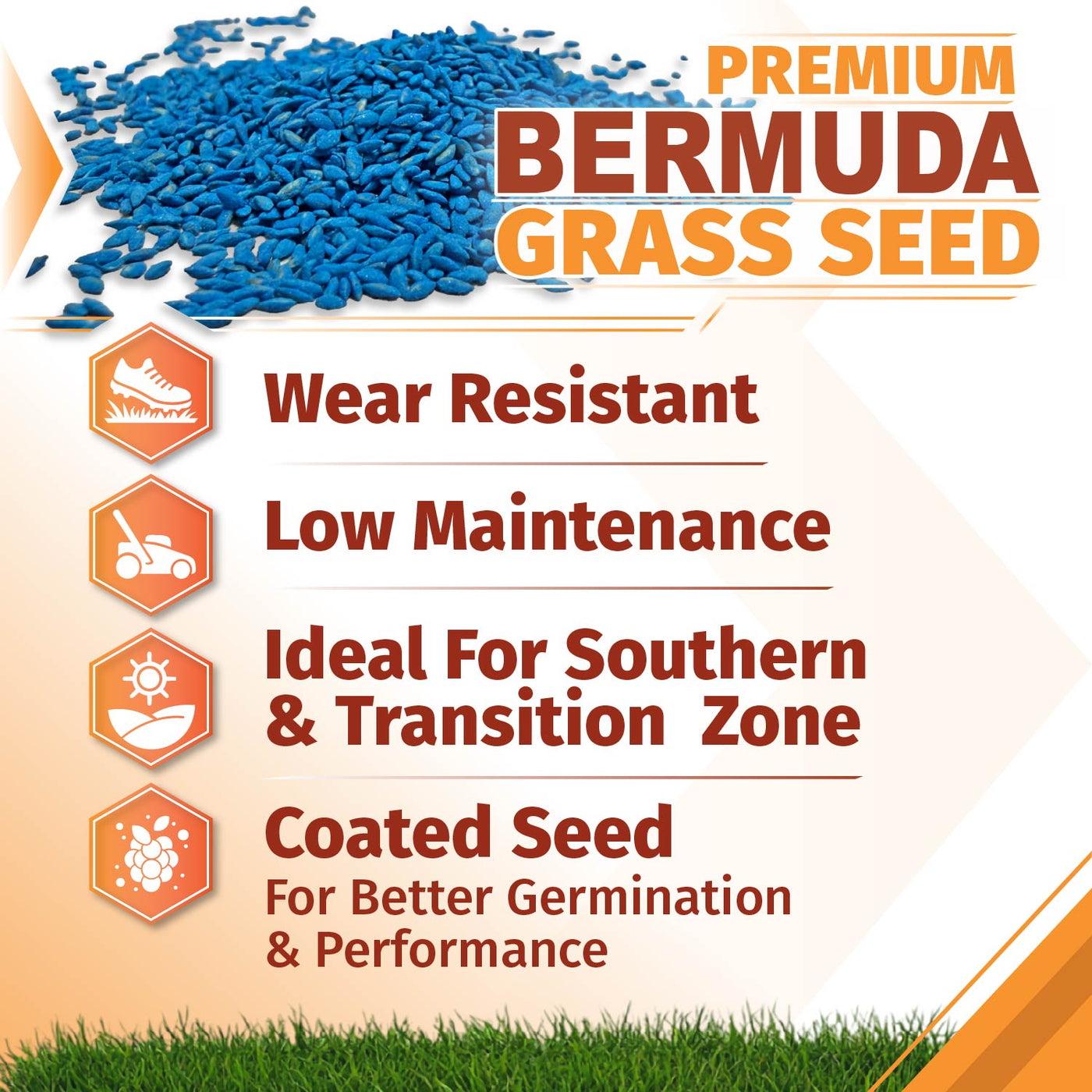 Promotional graphic for premium Bermuda grass seed, showing a pile of blue-coated seeds, bold text reading 'PREMIUM BERMUDA GRASS SEED,' and feature icons for wear resistance, low maintenance, suitability for southern and transition zones, and coated seed quality. A strip of green grass appears along the bottom.