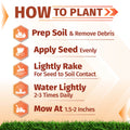 An infographic titled 'HOW TO PLANT' with five orange icons and text steps for planting: prep soil and remove debris, apply seed evenly, lightly rake for seed-to-soil contact, water lightly 2-3 times daily, and mow at 1.5-2 inches.  bermuda grass seed