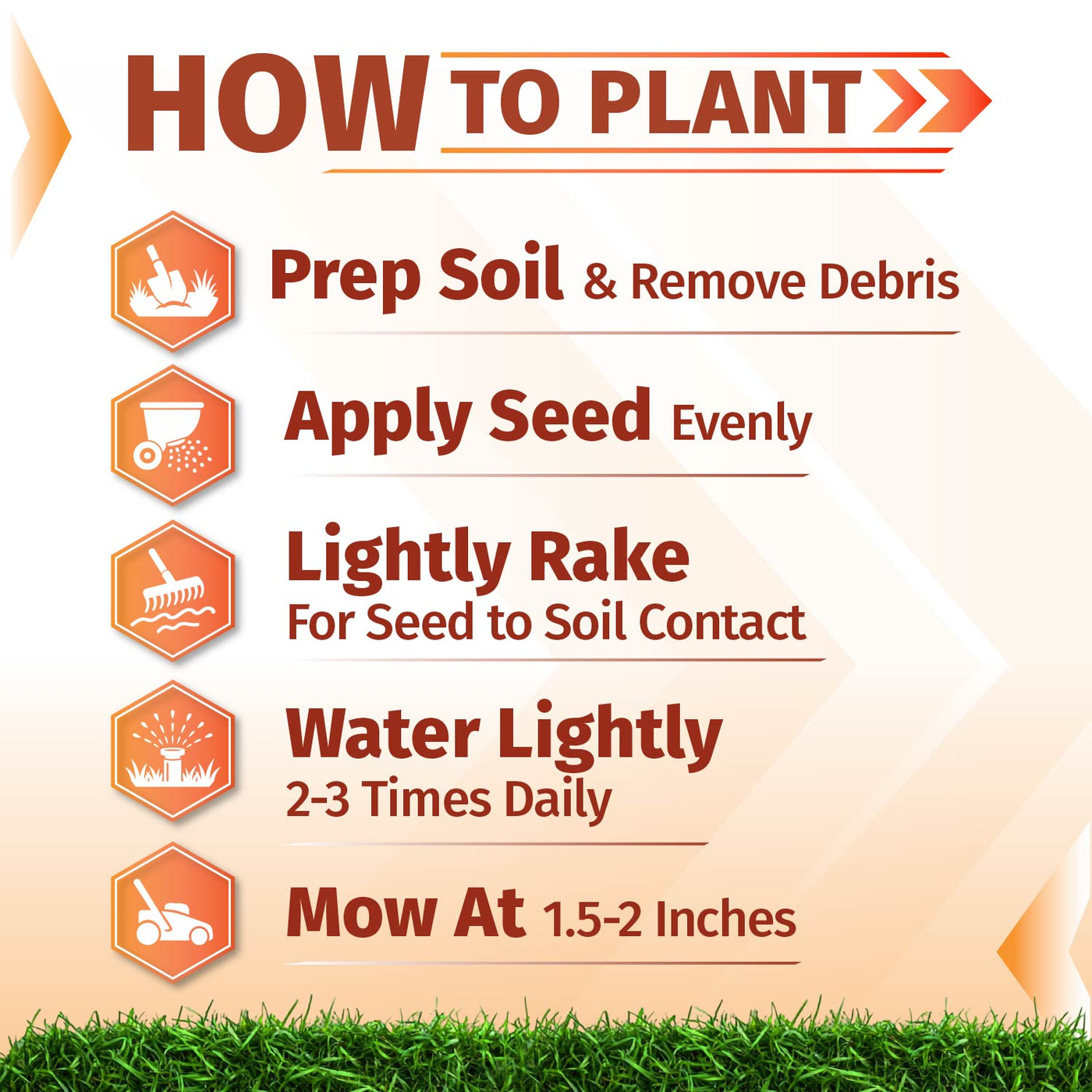 An infographic titled 'HOW TO PLANT' with five orange icons and text steps for planting: prep soil and remove debris, apply seed evenly, lightly rake for seed-to-soil contact, water lightly 2-3 times daily, and mow at 1.5-2 inches.  bermuda grass seed
